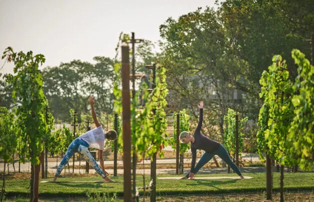 Two woman doing yoga in the vineyard at Montage Healdsburg