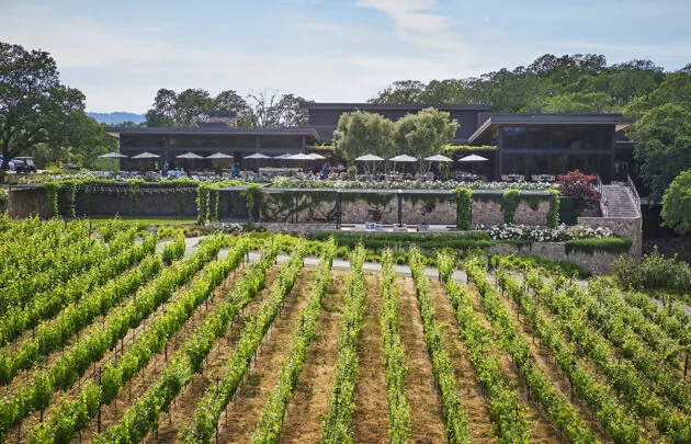 Montage Healdsburg vineyard