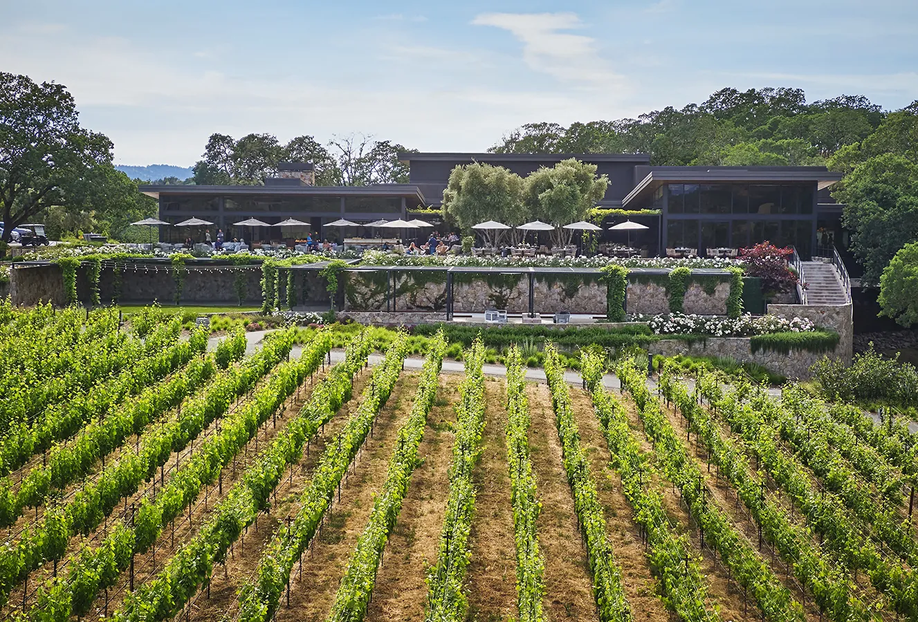 Montage Healdsburg vineyard