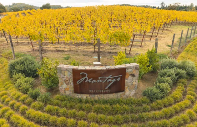 Montage sign with fall vines behind it at resort entrance.
