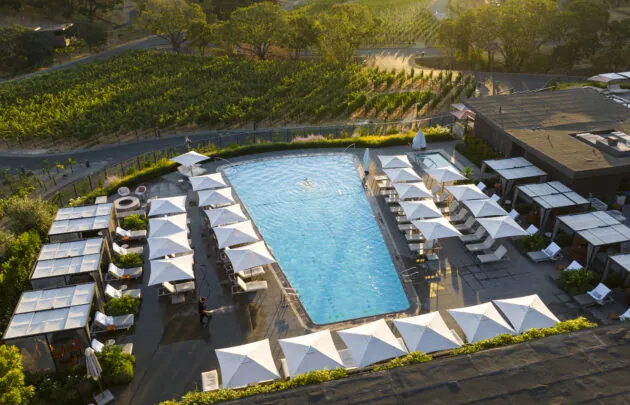 Aerial view of resort's pool and vineyards.