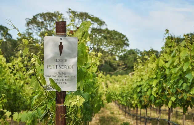 Vineyards with a sign for Surveyor wines in the forefront.