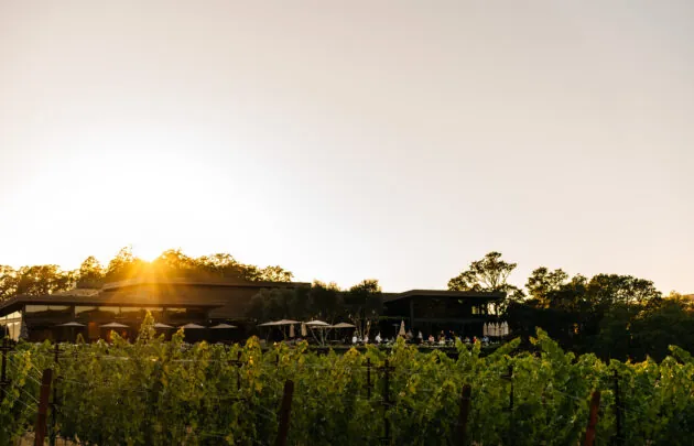 Vineyards and sun setting behind the resort's main building.