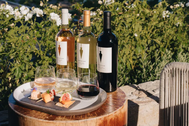 Bottles of Surveyor wines and small bites of food to taste with the wine.