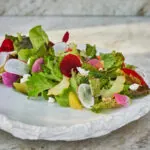 Salad on plate, on table