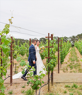 A bride and groom walking in a vineyard