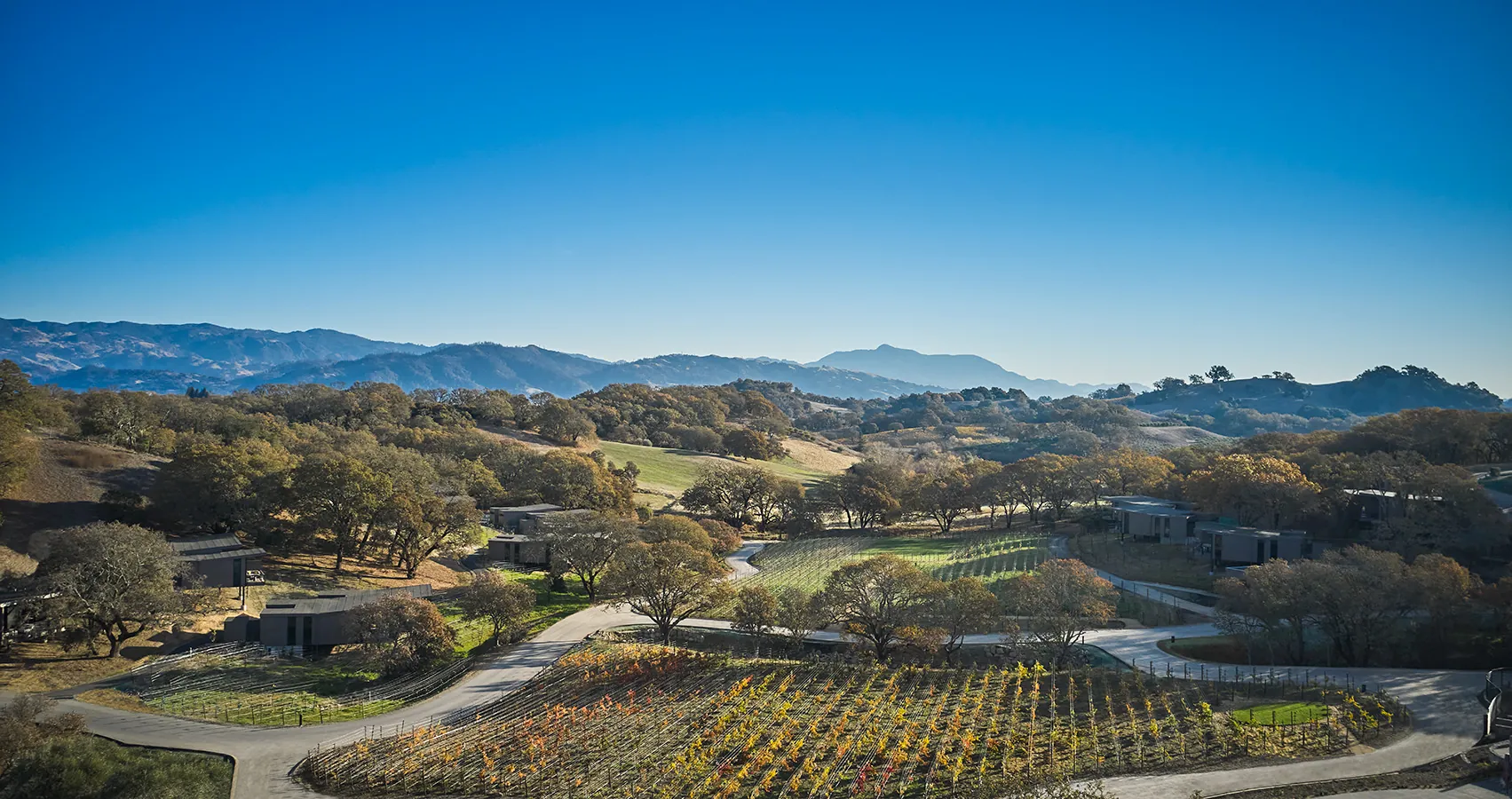 The Grand Lawn at Montage Healdsburg