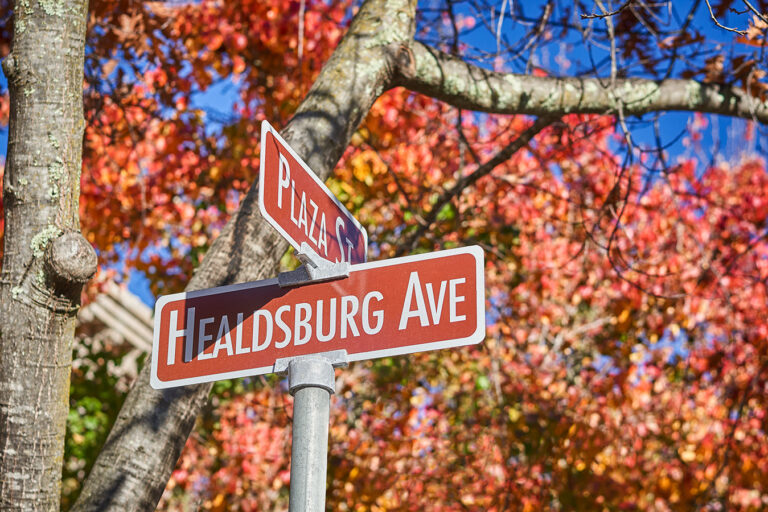 Healdsburg Fall