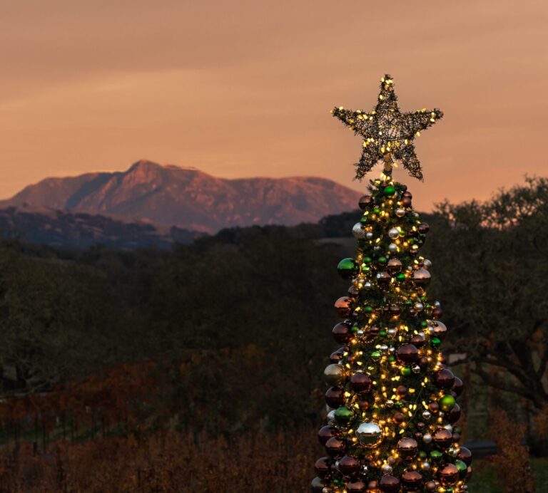 Holiday Tree Lights