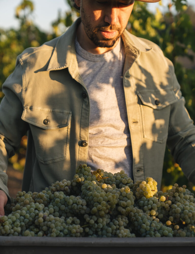 Grapes