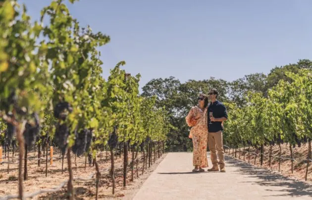 Couple Vineyard