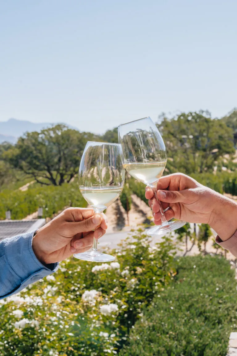 Two people toasting with white wine