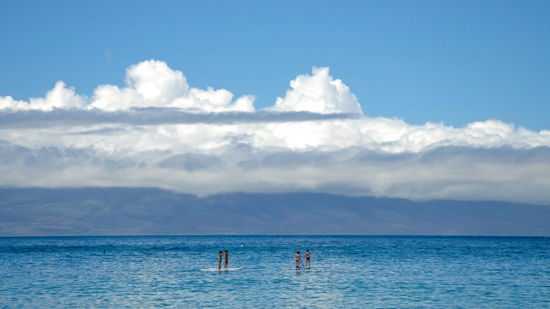 A group stand up paddleboarding in the Pacific Ocean near Montage Kapalua Bay.