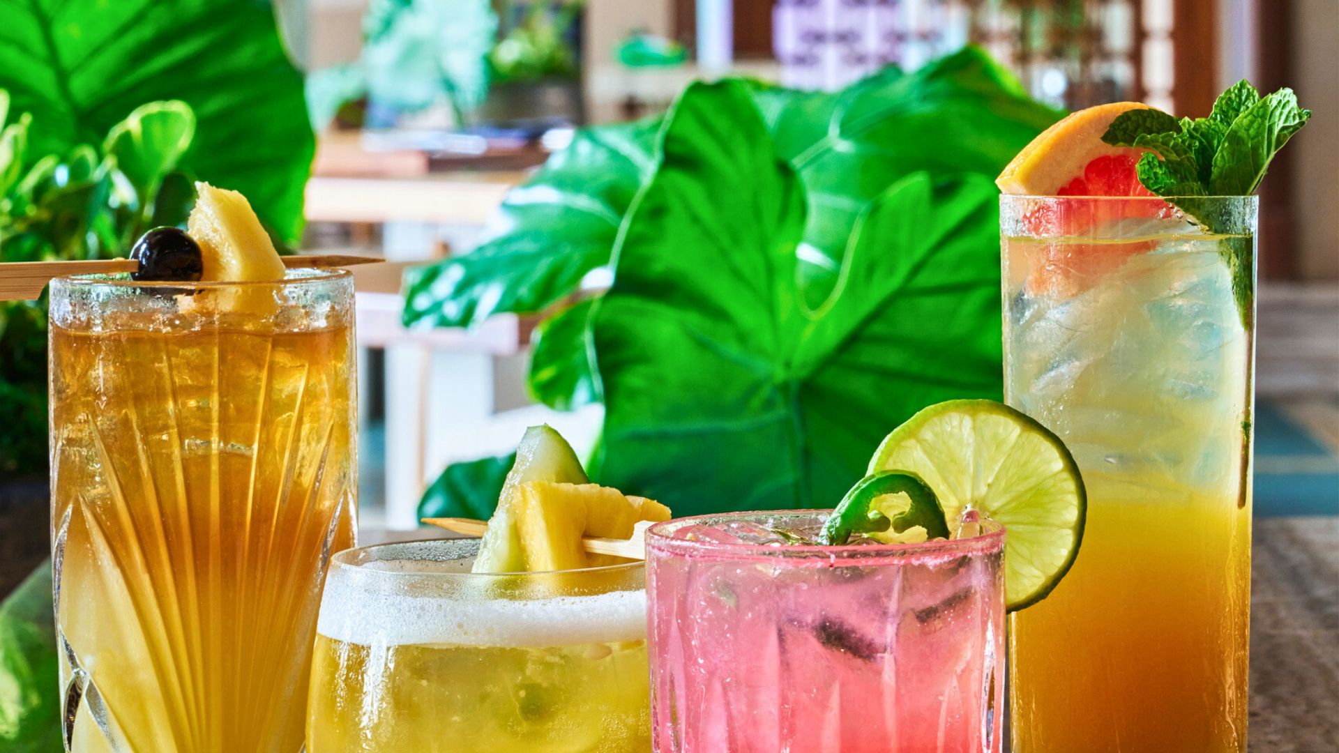 Four cocktails displayed from Cane & Canoe.