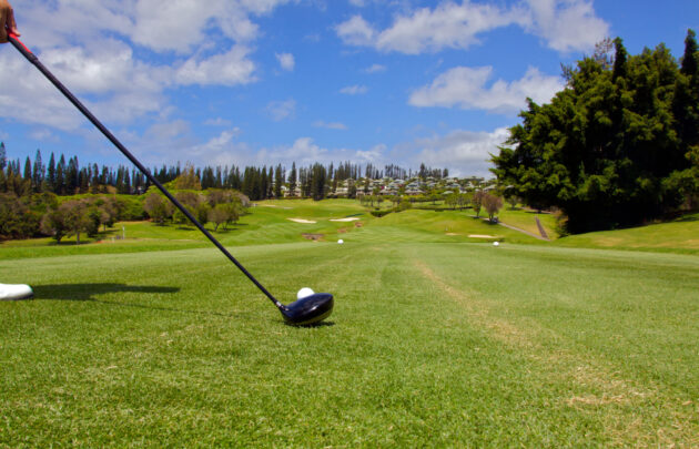 Kapalua&rsquo;s Plantation Course