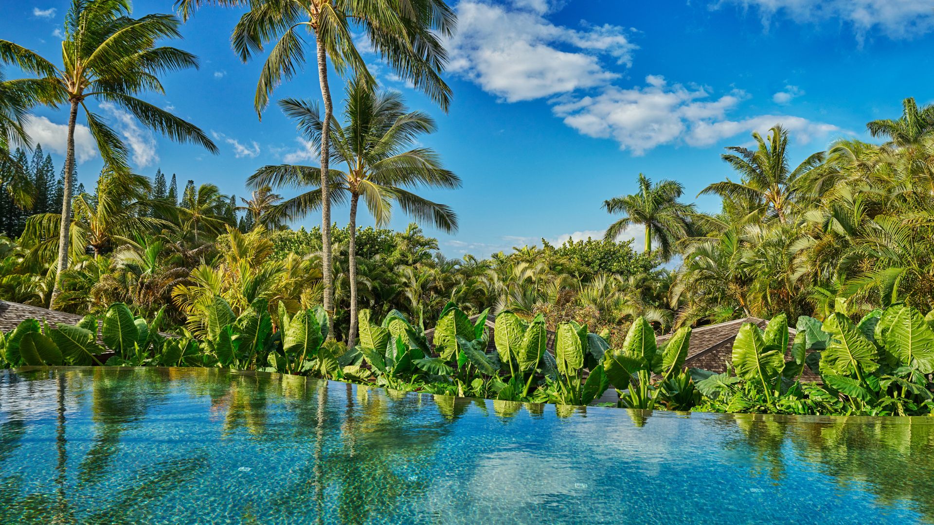 The pool at Montage Kapalua Bay