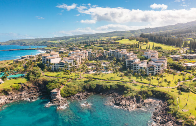 Aerial Montage Kapalua