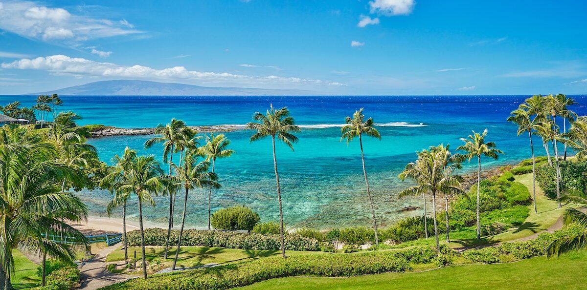 Turquoise ocean view with palm trees