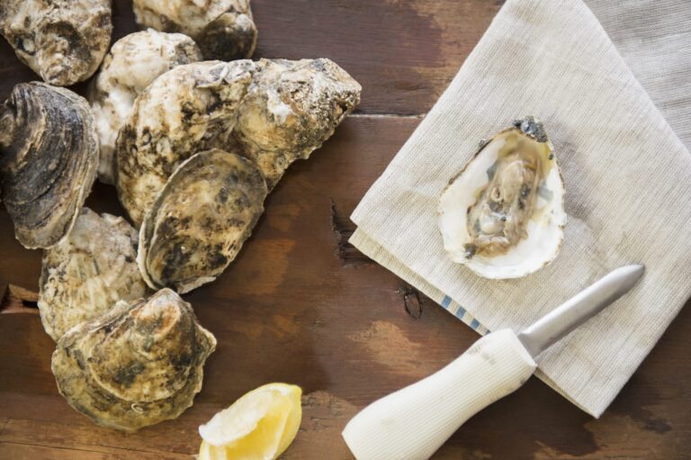 Shuck Oysters