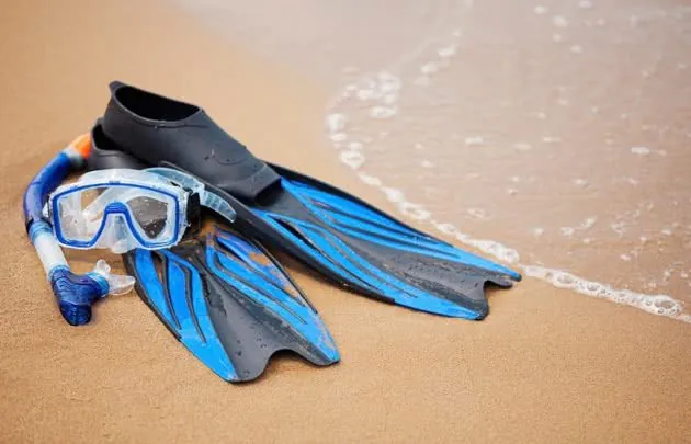 Snorkel gear
