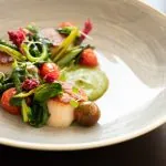 Sea Scallops