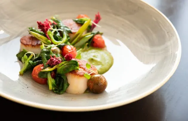 Sea Scallops