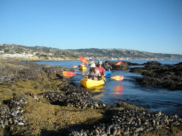 Kayak Tour