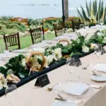 Table Setting Outdoors on Lawn
