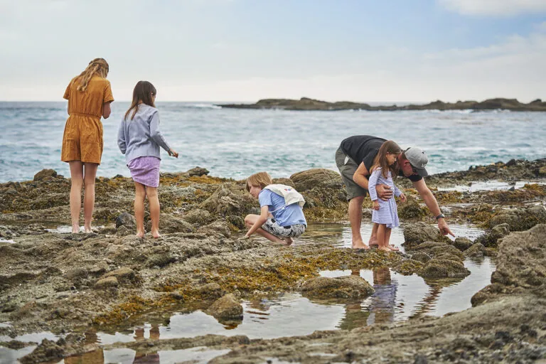 Children in Paintbox looking at tidepools at the beach