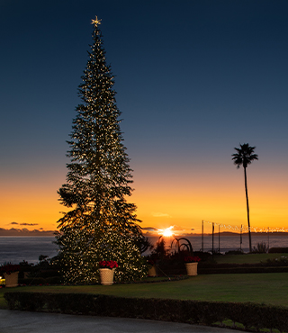 Christmas in Laguna Beach