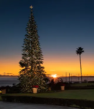 Christmas in Laguna Beach