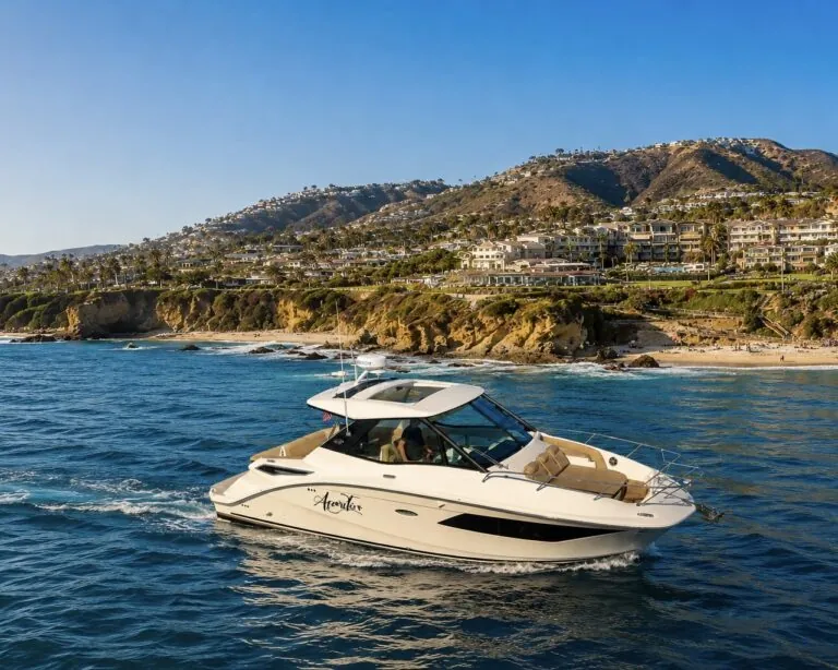 Charter Cruise
