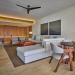 1 Bedroom Suite Living Room