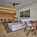 1 Bedroom Suite Living Room