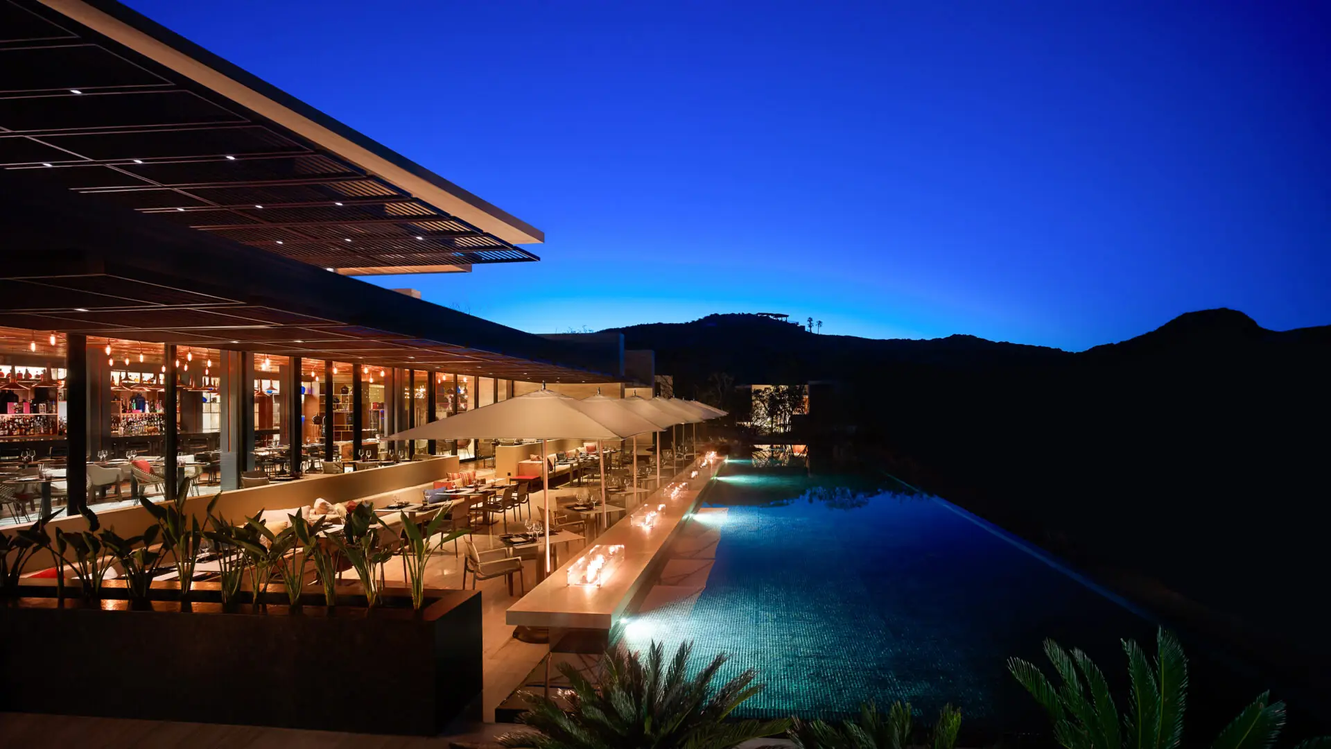 Mezcal, Los Cabos Restaurant