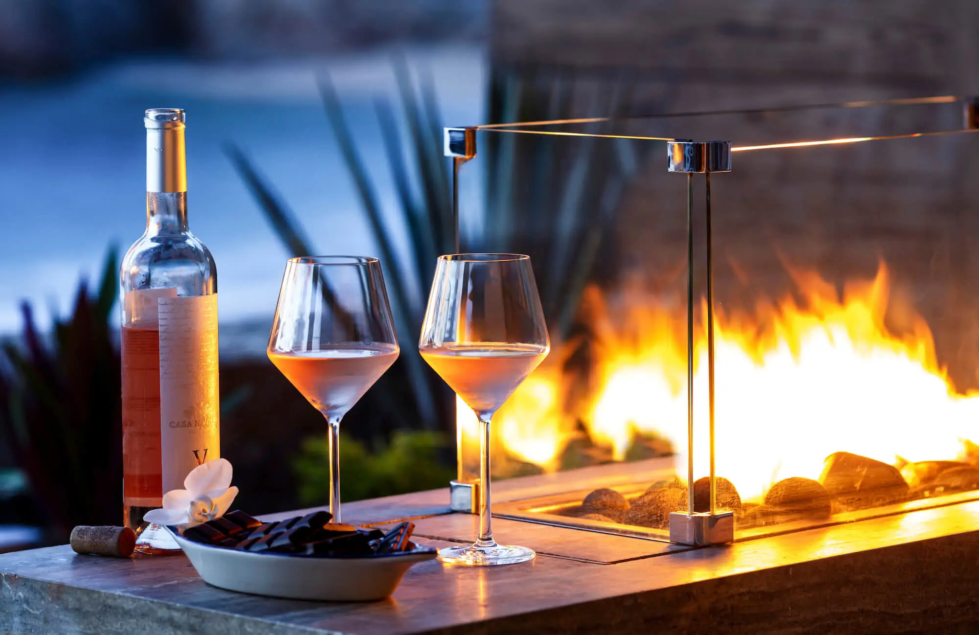 Mexican wine tasting