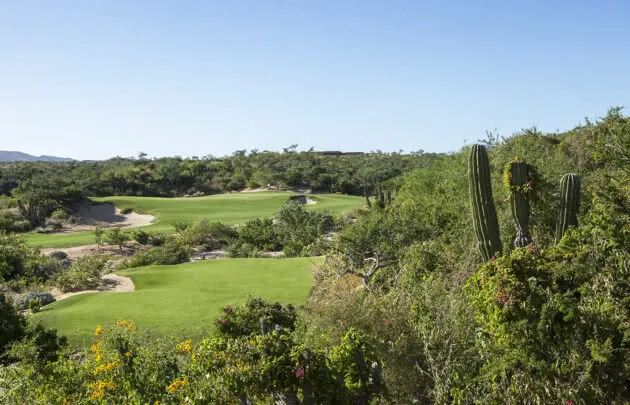 Twin Dolphin Golf Course