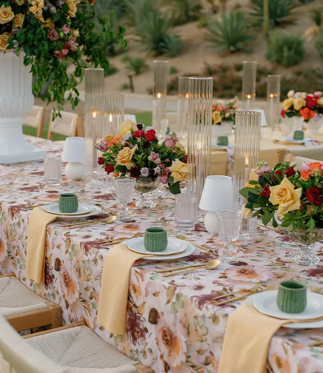 Wedding reception in Los Cabos