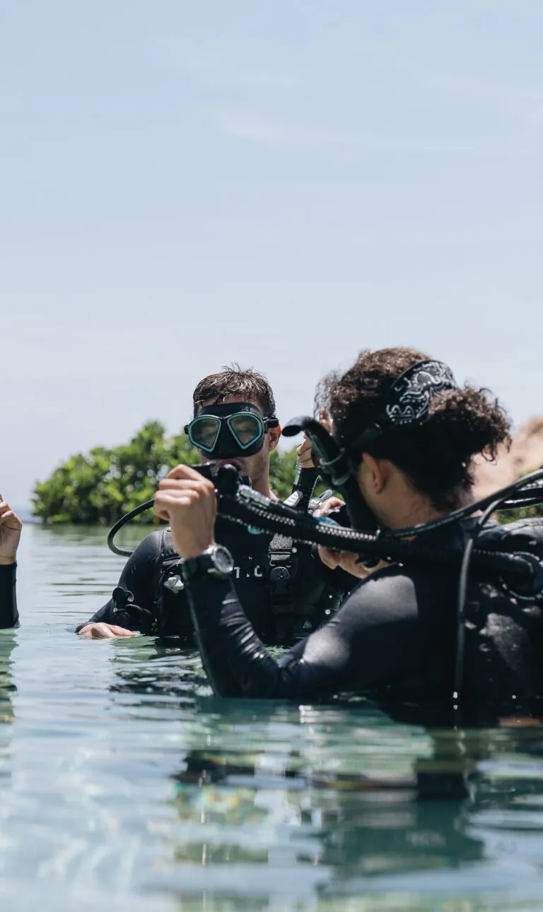 scuba divers