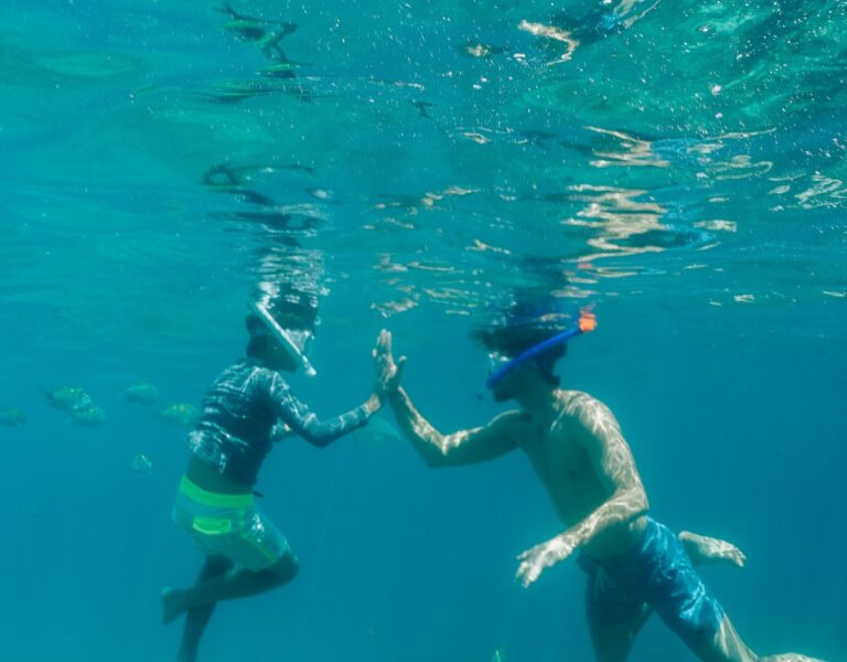 scuba divers under water