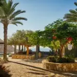 Montage Los Cabos Dine