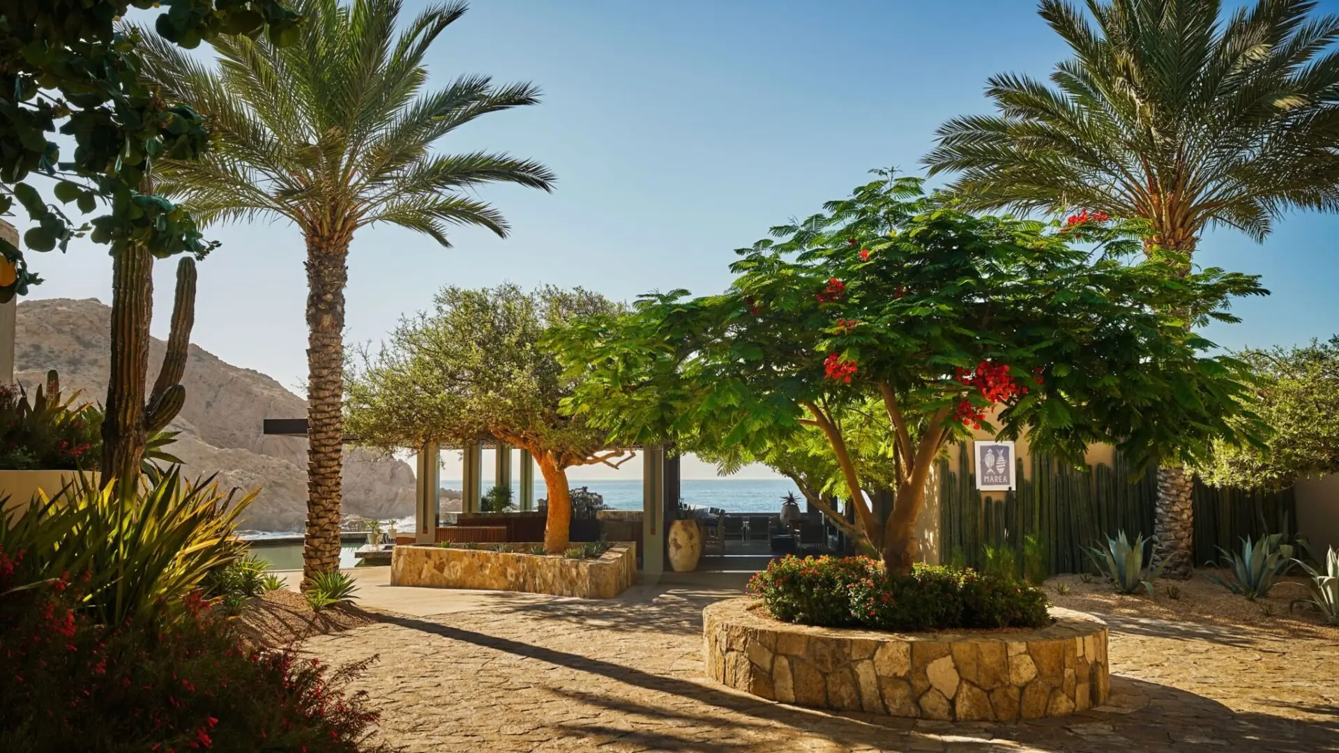 Montage Los Cabos Dine