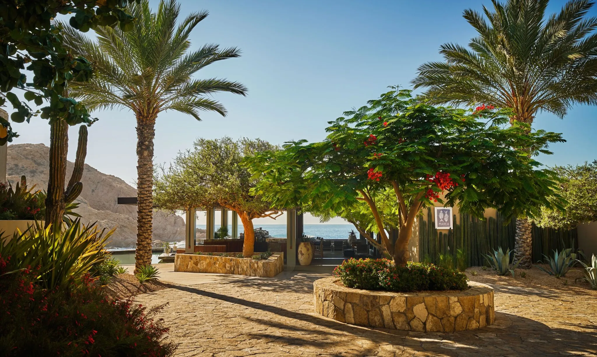 Montage Los Cabos Dine