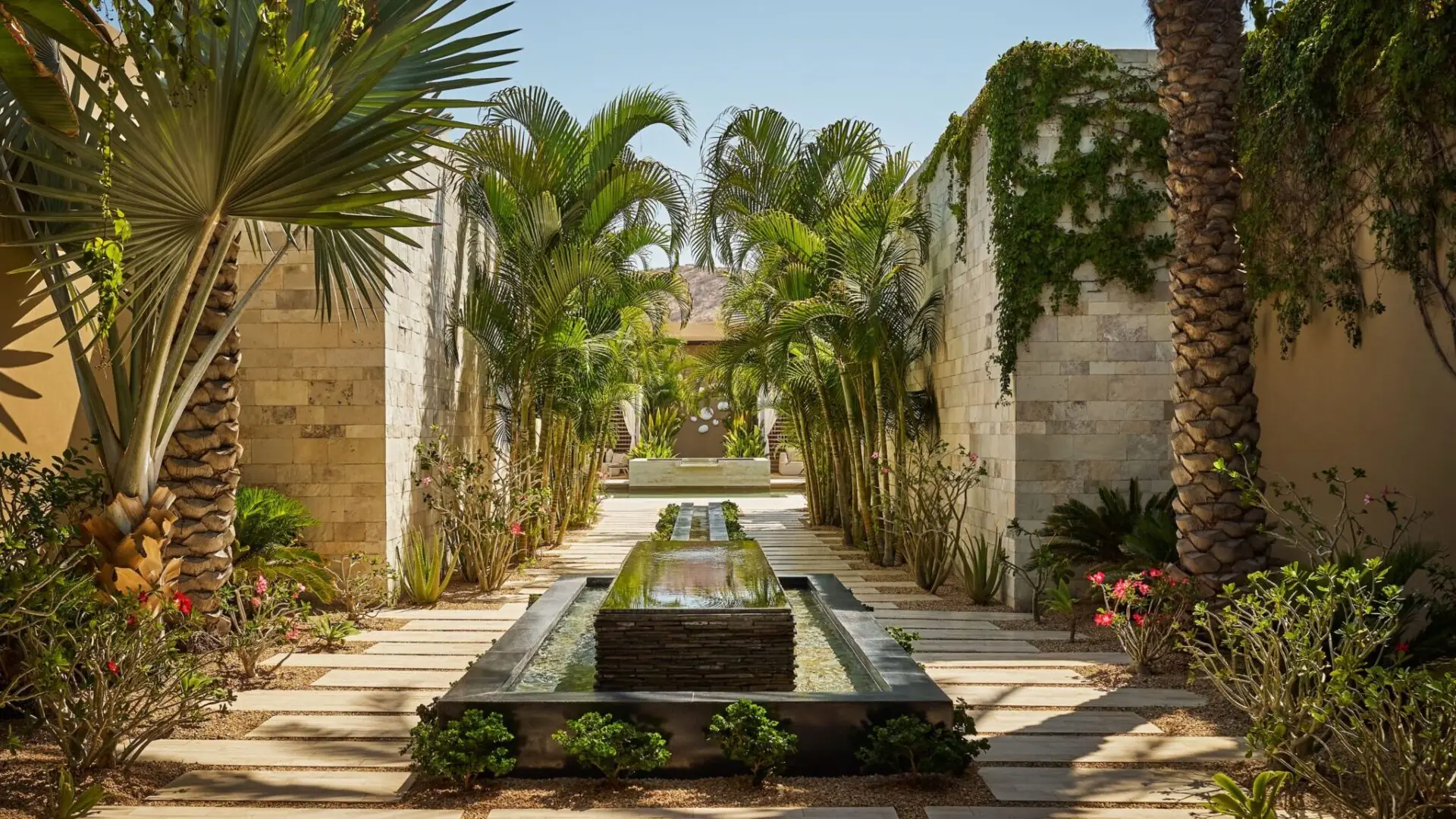 Montage Los Cabos Dine