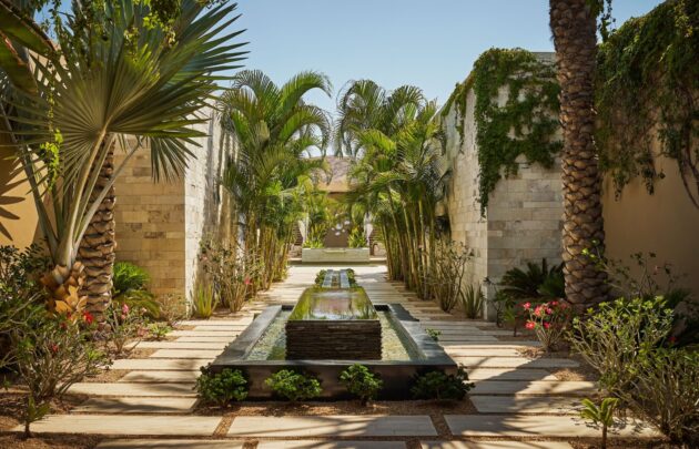 Montage Los Cabos Dine