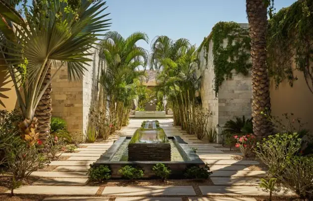 Montage Los Cabos Dine