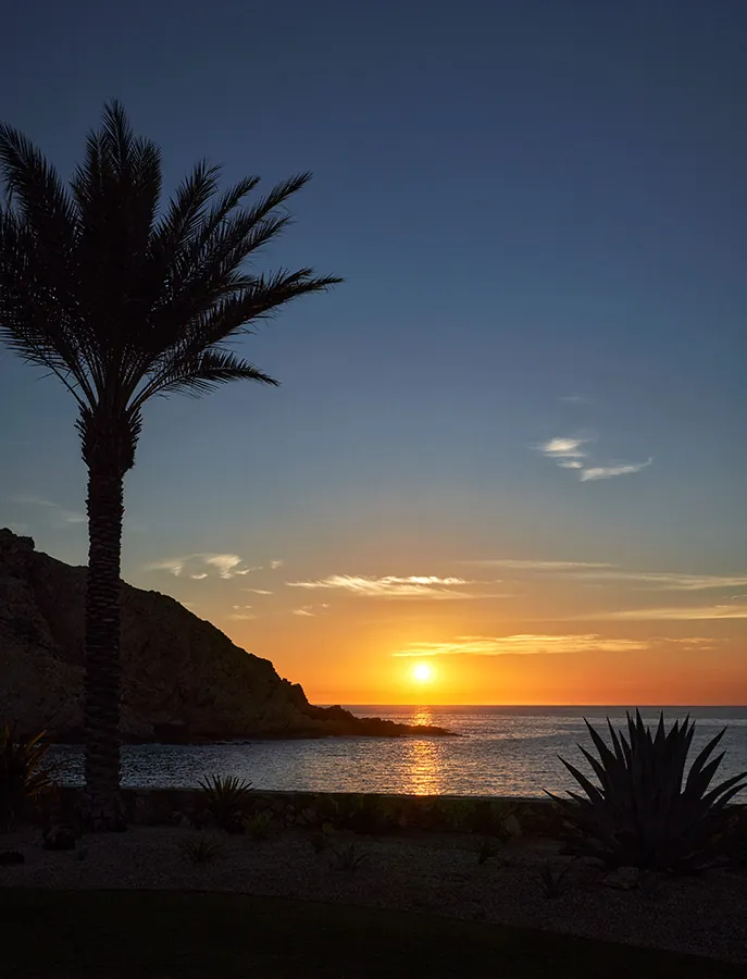 Beach at sunset