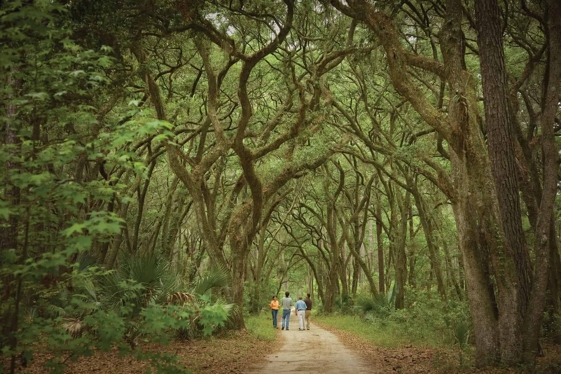 Hiking on River Road