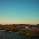 Saltwater Fishing