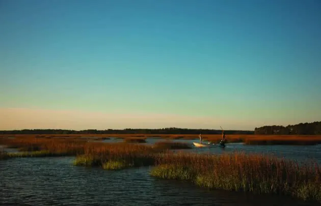 Saltwater Fishing
